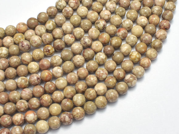 Fossil Jasper Beads, 6mm, Round Beads-BeadDirect