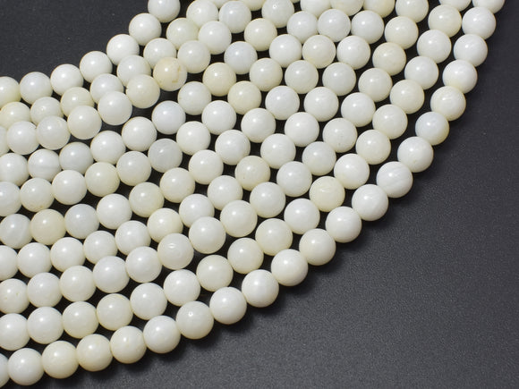 Tridacna Shell, 6mm Round Beads-BeadDirect