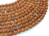 Rudraksha Beads, 7.5mm-8mm Round Beads-BeadDirect