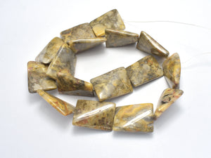 Crazy Lace Agate Beads, 18x25mm Twisted Rectangle-BeadDirect