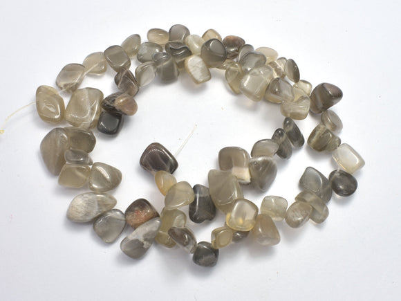 Gray Moonstone, (8-10)x(9-16)mm Free Form Beads-BeadDirect