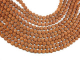 Rudraksha Beads, 9.5mm-10.5mm Round Beads-Wood-BeadDirect