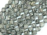 Gray Picture Jasper Beads, 8mm Star Cut Faceted Round-Gems: Round & Faceted-BeadDirect