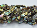 Abalone 10-14mm Nugget Beads-BeadDirect