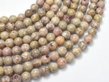 Fossil Jasper Beads, 8mm Round Beads-BeadDirect