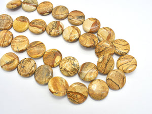 Picture Jasper Beads, 25mm Coin Beads-BeadDirect