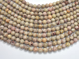 Fossil Jasper Beads, 8mm Round Beads-BeadDirect