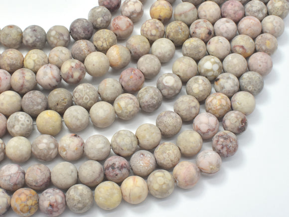 Matte Fossil Jasper Beads, 8mm Round Beads-Gems: Round & Faceted-BeadDirect