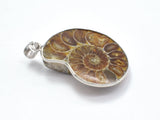 Ammonite Pendant, Fossil Pendant, with Silver Tone Base Metal Bail 1 piece-BeadDirect