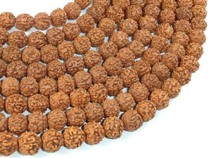 Rudraksha Beads, 9.5mm-10.5mm Round Beads-Wood-BeadDirect