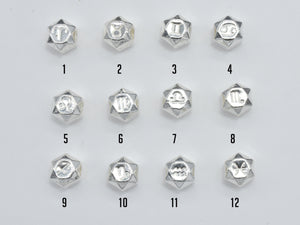 1pc 925 Sterling Silver Astrology Sign Beads, 7.8mm, Hexagon Beads, Zodiac Sign Beads, Big Hole 2.8mm-BeadDirect