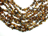 Tiger Eye, 4-9 mm Chips Beads-BeadDirect