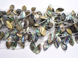 Abalone 13x25mm Curved Marquise Beads, Side Drilled, 14 Inch-BeadDirect
