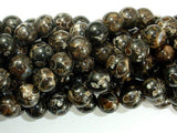 Turritella Agate, Elimia, 10mm Round Beads, 16 Inch-Gems: Round & Faceted-BeadDirect