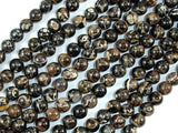 Turritella Agate, Elimia Tenera Fossil Shell, 6mm(6.4mm) Round Beads-Gems: Round & Faceted-BeadDirect
