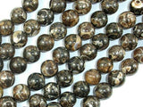 Turritella Agate, Elimia, 10mm Round Beads, 16 Inch-Gems: Round & Faceted-BeadDirect
