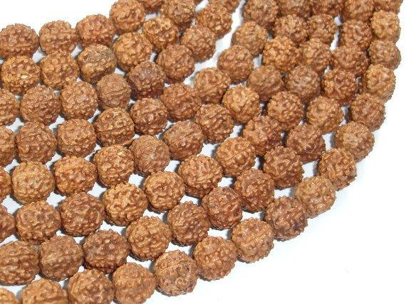 Rudraksha Beads, 9mm-9.5mm Round Beads-Wood-BeadDirect