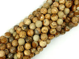 Picture Jasper Beads, 6mm Faceted Round Beads-Gems: Round & Faceted-BeadDirect