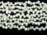 Fresh Water Pearl Beads, White with AB, Top drilled, Keshi-Pearls & Glass-BeadDirect