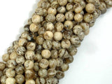 Feldspath Beads, Tiger Jasper Beads, 6mm-Gems: Round & Faceted-BeadDirect
