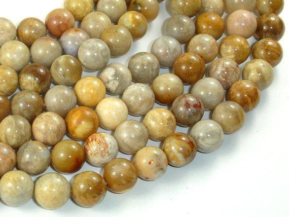 Fossil Coral Beads, 10mm, Round Beads-Gems: Round & Faceted-BeadDirect