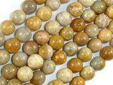 Fossil Coral Beads, 10mm, Round Beads-Gems: Round & Faceted-BeadDirect