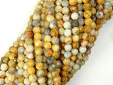 Crazy Lace Agate Beads, 4mm Faceted Round-Gems: Round & Faceted-BeadDirect