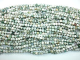 Tree Agate Beads, Round, 6mm-Gems: Round & Faceted-BeadDirect