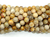 Fossil Coral Beads, 7mm, Round Beads-Gems: Round & Faceted-BeadDirect