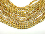 Fossil Coral Beads, 8mm Round Beads-Gems: Round & Faceted-BeadDirect