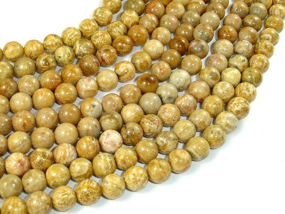 Fossil Coral Beads, 8mm Round Beads-Gems: Round & Faceted-BeadDirect