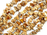 Picture Jasper, 4mm - 9mm Chips Beads, Long full strand-Gems: Nugget,Chips,Drop-BeadDirect