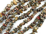 Leopard Skin Jasper, 4-9mm Chips Beads-Gems: Nugget,Chips,Drop-BeadDirect