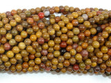 Rainbow Petrified Wood Jasper, 4mm Round Beads-Gems: Round & Faceted-BeadDirect